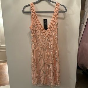 Parker Brookdale Dress in Blush/Pink